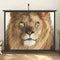 vidaXL - Projectiescherm - met - statief - 16:9 - 120''