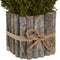 Decoratieve plant Home ESPRIT Bloem 18 x 18 x 24 cm (2 Stuks)