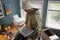 HP DeskJet 2810e - All-in-One Printer - Draadloos - Geschikt voor HP Instant Ink