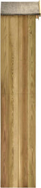 vidaXL - Tuinschuur - 36x36x163 - cm - geïmpregneerd - grenenhout