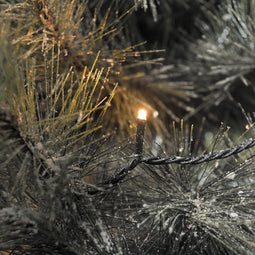 Konstsmide 6544-870 Kerstboomverlichting met app Buiten Energielabel: E (A - G) werkt op het lichtnet Aantal lampen 400 LED Amber