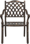 vidaXL - Tuinstoelen - 2 - stuks - in - bronzen - gietaluminium