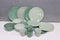 Bo-Camp - Servies - 16-Delig Mix & Match - Groen (16 stuks)