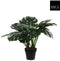 Mica Decorations Monstera - Kunstplant H60 x Ø80 cm - Onderhoudsvrij Groen
