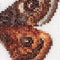 Thea Gouverneur - Borduurpakket met telpatroon - 562 - Voorgesorteerde DMC Garens - Keizer Nachtvlinder - Linnen - 21 cm x 21 cm - DIY Kit