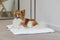 Designed by Lotte Ligra - Benchkussen - Uitwasbaar - Creme - 89x60x3 cm