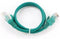 CablExpert PP12-1.5M/G - Netwerkkabel, UTP Cat5E, groen
