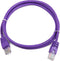CablExpert PP12-1M/V - Netwerkkabel, UTP Cat5E, paars