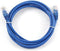 CablExpert PP12-2M/B - Netwerkkabel, UTP Cat5E, blauw