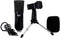 CAD Audio U29 - USB Side Address Studio Mic Spraakmicrofoon Incl. standaard