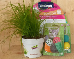 Cadeaupakket kattenspeeltjes met kattengras voor je kat