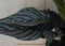 Calathea Orbifolia Pauwenplant groen blad roze strepen 30 cm