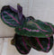 Calathea Surprise Star Pauwenplant groot blad met roze 30 cm