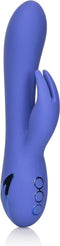 CalExotics - Beverly Hills Bunny - Vibrators Clitoral Paars
