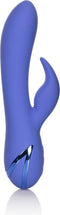 CalExotics - Beverly Hills Bunny - Vibrators Clitoral Paars