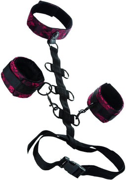 CalExotics - Scandal Collar Body Restraint - Bondage / SM Zwart