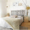 CALICOSY -