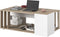 CALICOSY -