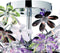 RL LIVE YOUR LIGHT FLOWER - Plafondlamp - 4x E14 max. 40W - Diameter 560 mm - Multi kleurige blaadjes