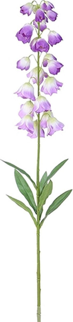 Campanula violet