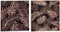 Canvas Blad van een plant Zwart 1,5 x 28 x 28 cm (36 Stuks)