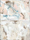 Canvas DKD Home Decor 150 x 3,8 x 100 cm Abstract 100 x 4 x 150 cm Stads (2 Stuks)