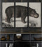 Canvas DKD Home Decor 3 Onderdelen Modern (180 x 4 x 120 cm)