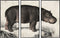 Canvas DKD Home Decor 3 Onderdelen Modern (180 x 4 x 120 cm)