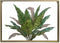 Canvas DKD Home Decor Tropisch Blad van een plant (80 x 3 x 60 cm)