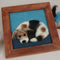 Canvas Paneel Met Lijst, 25,8x25,8cm