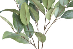 PTMD Eucalyptus Kunstplant - 84 x 45 x 140 cm - Kunststof - Groen
