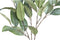 PTMD Eucalyptus Kunstplant - 84 x 45 x 140 cm - Kunststof - Groen