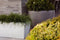 Capi Europe - Bloempot bol Arc Granite - 34x25 - Antraciet - Bloempot Voor binnen en buiten - Beschikbaar in XL formaten - Breukbestendig - 100% Recyclebaar - Levenslang garantie - NATS8031