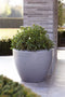 Capi Europe - Bloempot bol Arc Granite - 34x25 - Antraciet - Bloempot Voor binnen en buiten - Beschikbaar in XL formaten - Breukbestendig - 100% Recyclebaar - Levenslang garantie - NATS8031