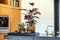 Capi Europe - Bloempot bol Groove Black & Gold - 14x13 - Goud - Opening Ø11.9 - Bloempot voor binnen - 5 jaar garantie - BGVGB132