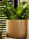Capi Europe - Bloempot bol Groove Black & Gold - 24x21 - Goud - Opening Ø20.9 - Bloempot voor binnen - 5 jaar garantie - BGVGB134