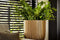 Capi Europe - Bloempot bol Groove Black & Gold - 24x21 - Goud - Opening Ø20.9 - Bloempot voor binnen - 5 jaar garantie - BGVGB134