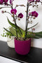 Capi Europe - Bloempot bol Groove Colours - 14x13 - Groen - Opening Ø11.9 - Bloempot voor binnen - 5 jaar garantie - BGVGN132