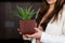 Capi Europe - Bloempot bol Groove Colours - 9x8 - Paars - Opening Ø7.2 - Bloempot voor binnen - 5 jaar garantie - BGVP139