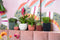 Capi Europe - Bloempot bol Groove Colours - 9x8 - Paars - Opening Ø7.2 - Bloempot voor binnen - 5 jaar garantie - BGVP139