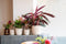 Capi Europe - Bloempot bol Groove 'made with' kunstgras groen - 13x12 - Kunstgras groen - Bloempot voor binnen en buiten - Capi ‘Made with’ - Gemaakt van gerecycled materiaal - Levenslang garantie - IGGG532
