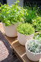 Capi Europe - Bloempot bol Groove 'made with' kunstgras groen - 13x12 - Kunstgras groen - Bloempot voor binnen en buiten - Capi ‘Made with’ - Gemaakt van gerecycled materiaal - Levenslang garantie - IGGG532