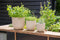 Capi Europe - Bloempot bol Groove 'made with' kunstgras groen - 13x12 - Kunstgras groen - Bloempot voor binnen en buiten - Capi ‘Made with’ - Gemaakt van gerecycled materiaal - Levenslang garantie - IGGG532