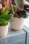 Capi Europe - Bloempot bol Groove 'made with' kunstgras groen - 17x15 - Kunstgras groen - Bloempot voor binnen en buiten - Capi ‘Made with’ - Gemaakt van gerecycled materiaal - Levenslang garantie - IGGG533