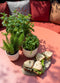 Capi Europe - Bloempot bol Groove 'made with' kunstgras groen - 22x20 - Kunstgras groen - Bloempot voor binnen en buiten - Capi ‘Made with’ - Gemaakt van gerecycled materiaal - Levenslang garantie - IGGG534