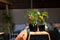 Capi Europe - Bloempot bol Groove 'made with' kunstgras groen - 22x20 - Kunstgras groen - Bloempot voor binnen en buiten - Capi ‘Made with’ - Gemaakt van gerecycled materiaal - Levenslang garantie - IGGG534