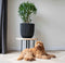 Capi Europe - Bloempot bol Groove NL - 35x34 - Goud - Opening Ø29 - Bloempot voor binnen en buiten - Levenslang garantie - Breukbestendig - 100% Recyclebaar - CO2 Neutraal geproduceerd - KGVGB932