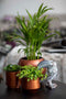 Capi Europe - Bloempot bol Retro Gold & Copper - 14x13 - Goud - Opening Ø11.9 - Bloempot voor binnen - 5 jaar garantie - BRTG132