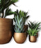 Capi Europe - Bloempot bol Retro Gold & Copper - 17x15 - Goud - Opening Ø15.4 - Bloempot voor binnen - 5 jaar garantie - BRTG133
