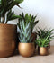Capi Europe - Bloempot bol Retro Gold & Copper - 17x15 - Goud - Opening Ø15.4 - Bloempot voor binnen - 5 jaar garantie - BRTG133